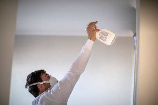 Best Attic Mold Remediation in Talty, TX
