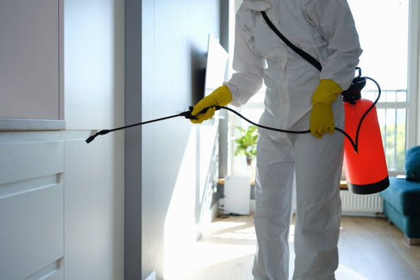 Best Health and Safety Mold Remediation in Talty, TX